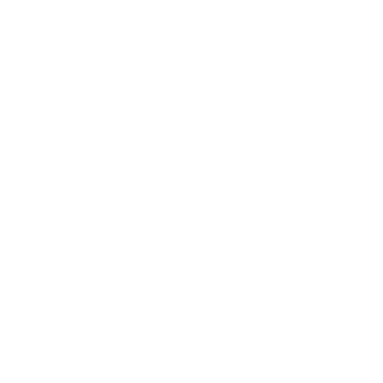 Zelfstandigen